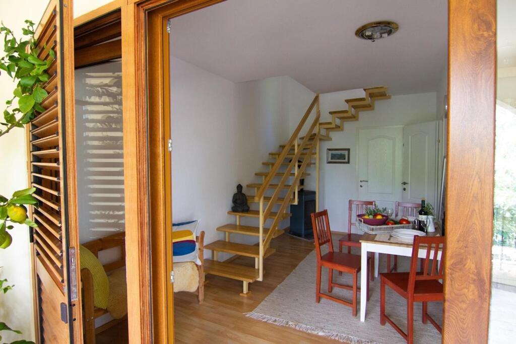 Ferienwohnung Smokvica - Feigenbaum Kornić Exterior foto